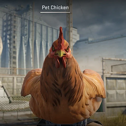 CHICKEN