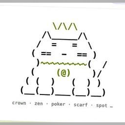 KINGCAT / SOL