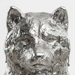Silverinu / SOL