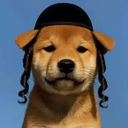 כלב / SOL