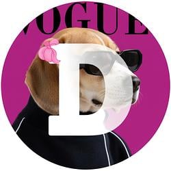 DOGUE