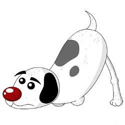 Brudder / SOL