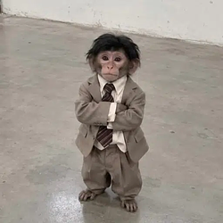 suit