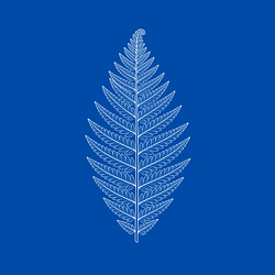 FERN