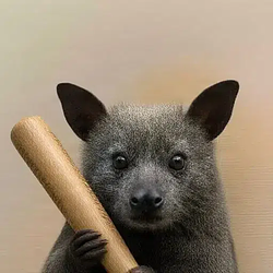baton