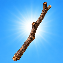 Stick