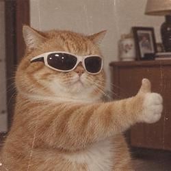 thumbcat