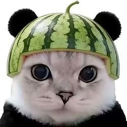 PANDACAT
