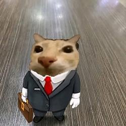 suitcat