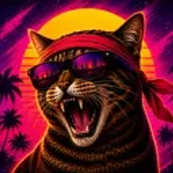 KITTY / SOL