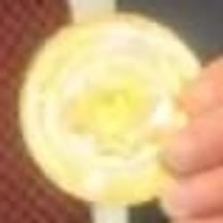 SEAL / SOL