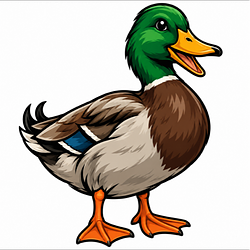 ducky / SOL