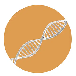 GENECOIN