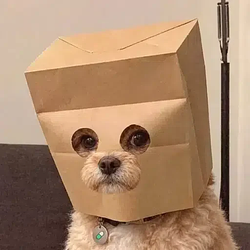MDOG