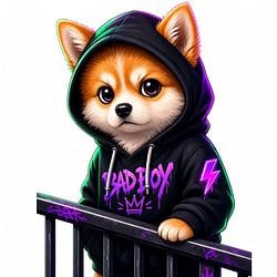 $HOODIE
