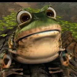 Froggycoin