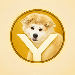 Yume / SOL