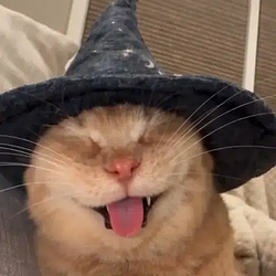 CHONK