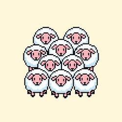 HERD / SOL