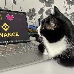 binancecat