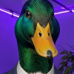 DUCK