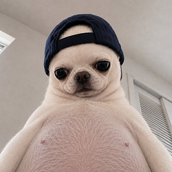 Belly / SOL