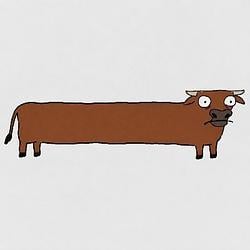 LooongBull / SOL