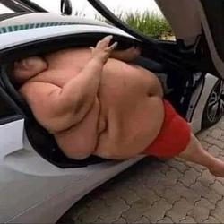fatty