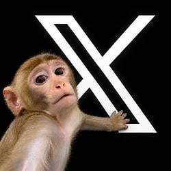 XMONKEY