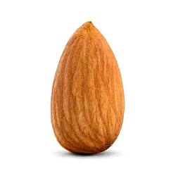 Almond General Intelligence