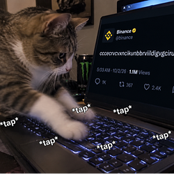 KEYCAT