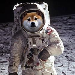 MOONINU