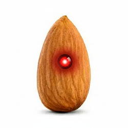 Almond General Intelligence