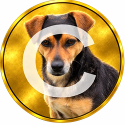 CRYPTO