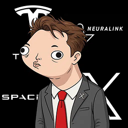 ELON / SOL