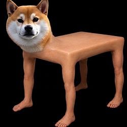 SHIBBLE