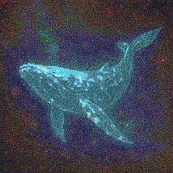 whale