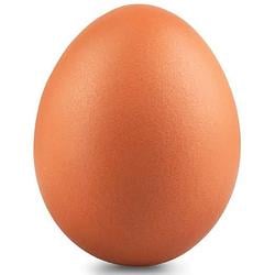 EGGS