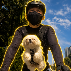 COPILOT / SOL