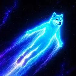 inu/acc