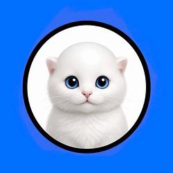 BALDCAT