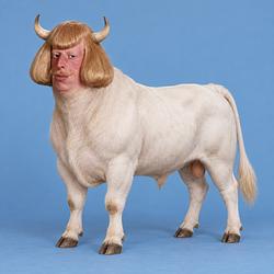 JEANBULL