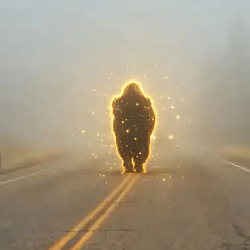 BISON / SOL