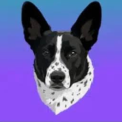 ADA