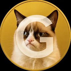 GrumpyCat / SOL