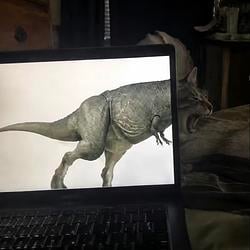 Catsaurus