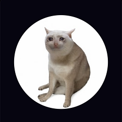 Cash Cat / USDC