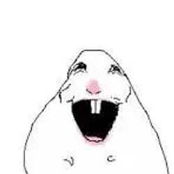 Hamster