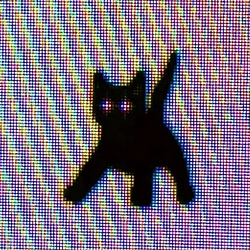 discocat / SOL