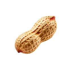 test2